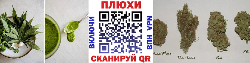 Купить где  Люберцы  Cannafood конопля 