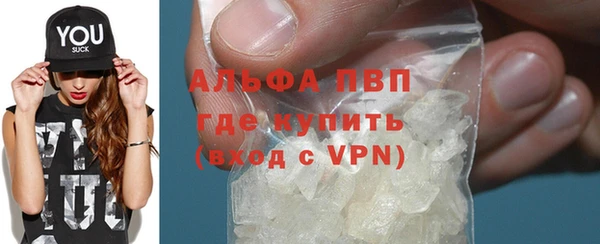 Альфа ПВП Верея