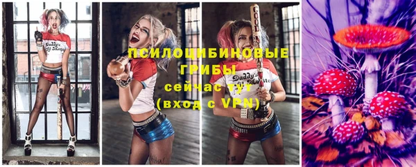 Альфа ПВП Верея