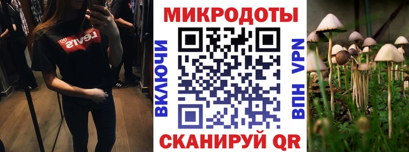Галлюциногенные грибы Magic Shrooms  Купить закладки  Люберцы 