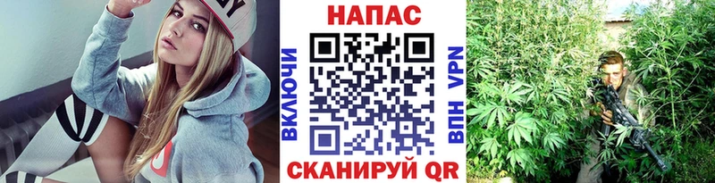 Каннабис ГИДРОПОН Люберцы